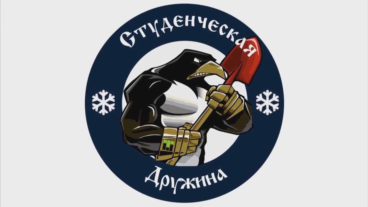 Команда дружина. Студенческая дружина. Герб дружины. Эмблема команды дружина. Эмблема отряда дружинники