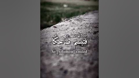 اسلام صبحي سورة النمل