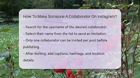 How To Make Someone A Collaborator On Instagram? - Everyday-Networking