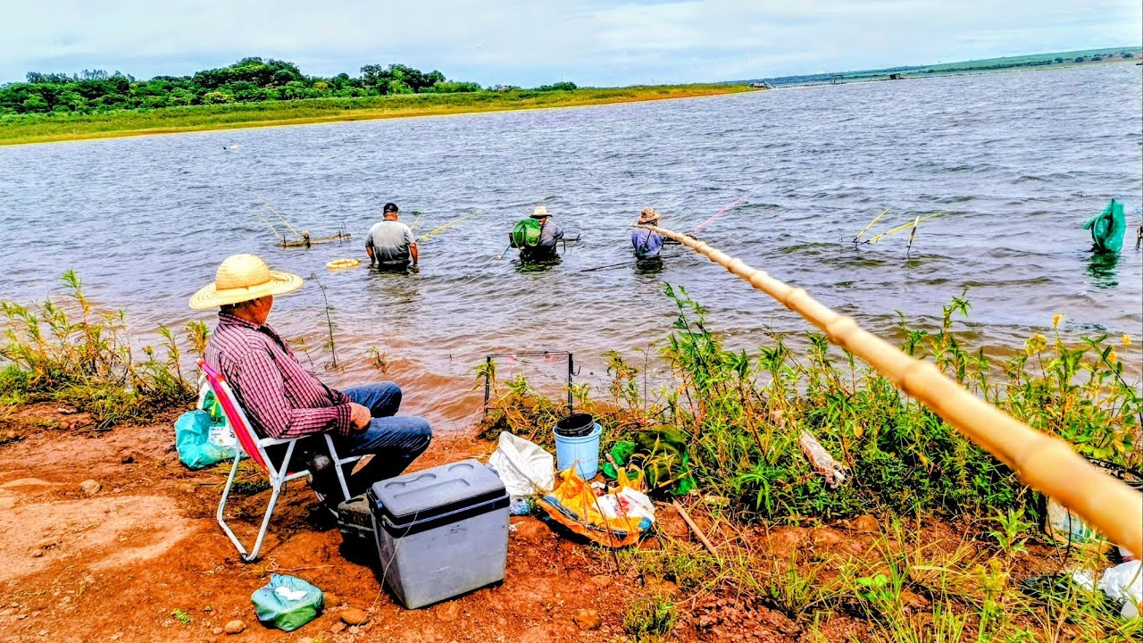  ESSE PEIXE VIROU PRAGA !! Rio grande Riolândia SP..