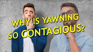 Why Is Yawning So Contagious? The Surprising Science Behind It