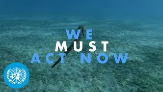 She Feels - We Must Act Now to Save our Ocean | United Nations