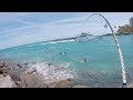 Florida Mullet Blitz - Fishing a QUESTIONABLE Spot for Insane Action