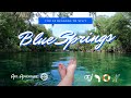 Blue spring state park top 10 reasons it should be at the top of your adventure list  pro tips