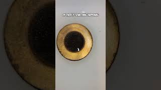 part 7 | Testing drain cleaning products that guarantee to work