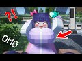 What Happens If You Give Jenny Tyan an Diamond in Minecraft Skyblock?