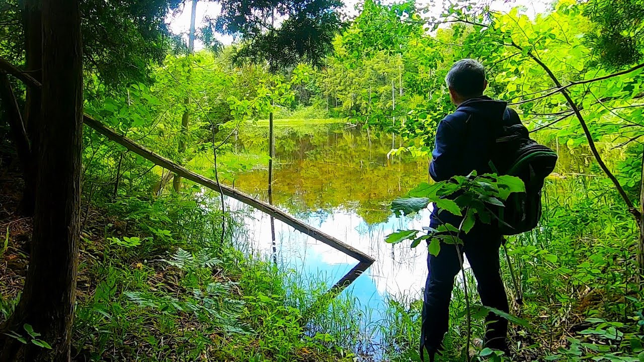 【佳木繁阴】---Hiking Bruce trail in Wilfred G Crozier Nature Reserve, Hiking