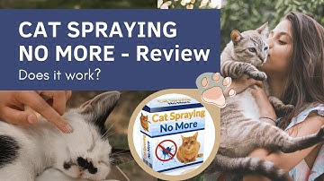 Cat Spraying No More Review | Does Cat Spraying No More really work?