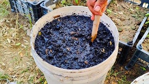 From TRASH to Wonder! Turn DEAD Soil to Super Microbe-Rich in No Time!