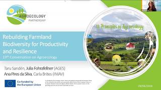19 - Rebuilding Farmland Biodiversity for Productivity and Resilience
