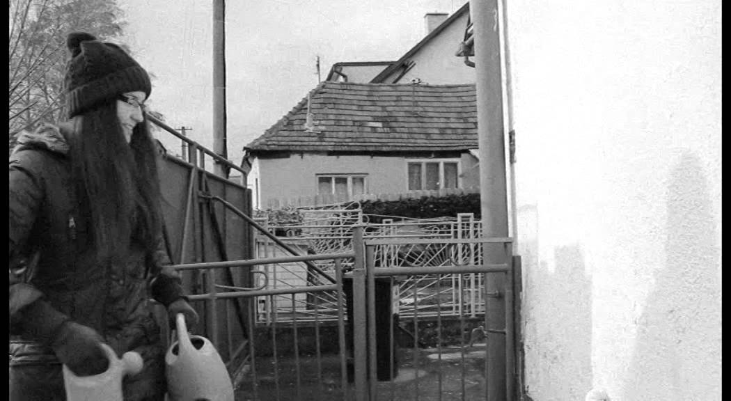 GARDEN| Slapstick Comedy