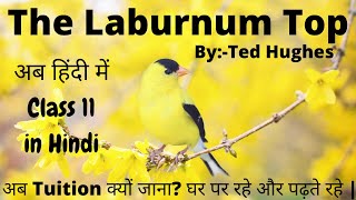 The Laburnum Top Class 11 in Hindi | Line by Line Explanation | Hindi Explanation | Hindi Summary