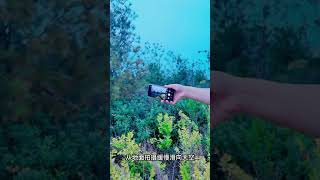 Photograph Trick❤️🔥 2021