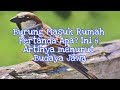 6 Arti Burung Masuk Rumah Menurut Primbon Jawa