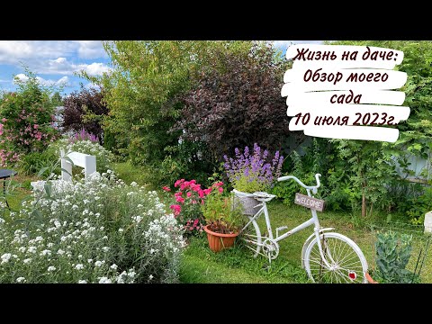 Видео: Жизнь на даче: Обзор моего сада 10 июля 2023г.