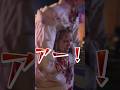 【ユニバハロウィン】足だけしか使えないのに躍動感ある唱ダンスするゾンビ #usj #usjハロウィン #ホラーナイト2023 #ユニバ #shorts #ゾンビデダンス