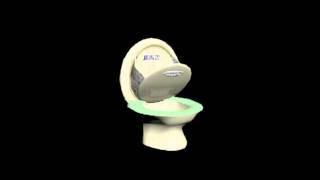My Toilet