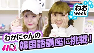 【韓国語講座】ねおがわかにゃんから韓国語を教えてもらいます！ねおweek2日目！