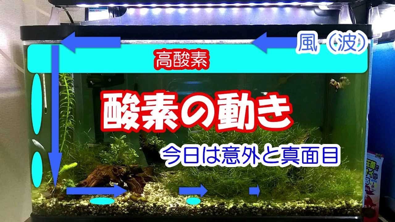 水中へ酸素が送られる仕組み 酸素の動き Youtube