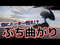 【撃闘】青物が釣れると噂の河口。この河がすごい‼︎