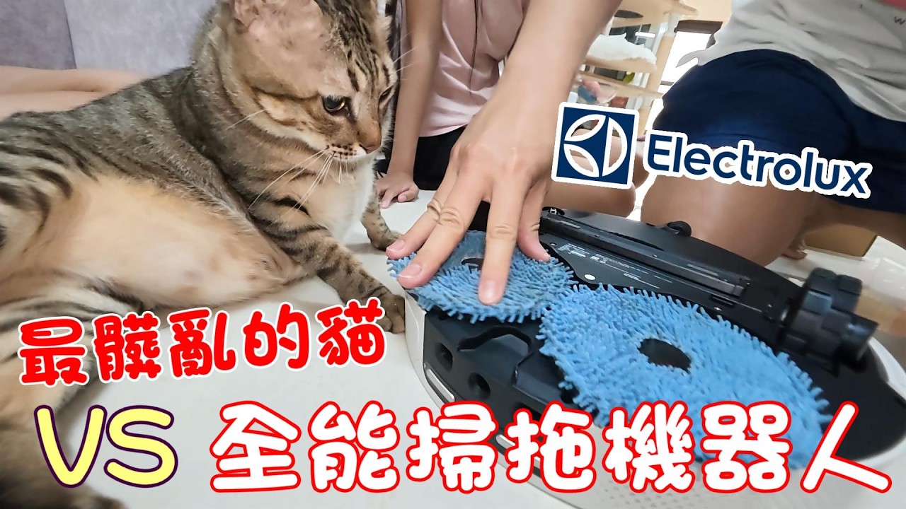 最髒亂的貓 VS 全能掃拖機器人 ft.伊萊克斯 安心管家 800 縮圖