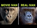 The One and Only Ivan vs. the True Story of Ivan the Gorilla