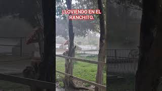 DILUVIO EN EL RANCHITO