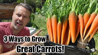 3 Ways to Grow Perfect Carrots by Next Level Gardening 23,234 views 5 months ago 5 minutes, 36 seconds