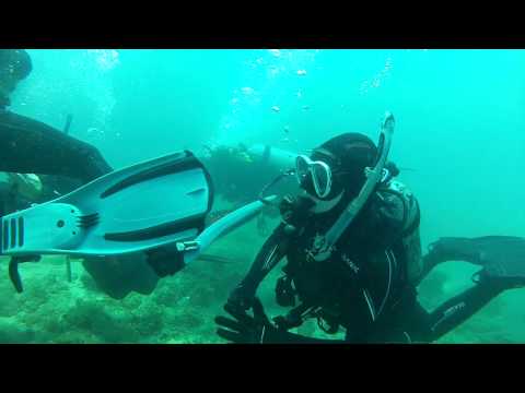 PADI Open Water Students