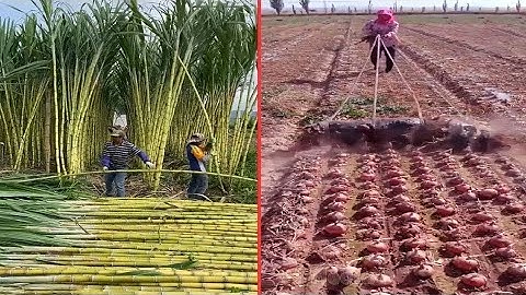 8 Minutes Satisfying Video Working & Exciting Factory Machines, Ingenious Tool, Skillful Worker #001