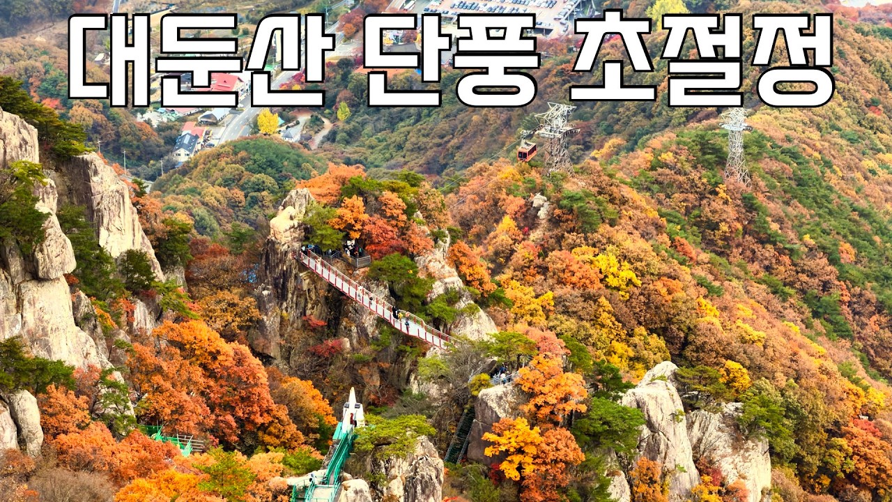실시간 단풍으로 불타는 대둔산, 지금 안 가면 1년 후회합니다 | 당일날 바로 올립니다.