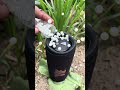 jbl bass test n white ball jump on jbl flip 6