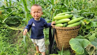 Full video: 30 days of harvesting natural fruits, bananas, horseshoe tubers, and melons for sale