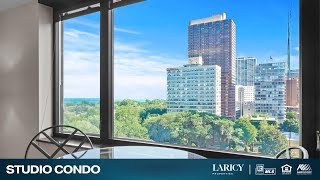 3100 N Lake Shore Dr Unit 1103 Chicago, IL Laricy Properties Drone Tour Listing Video