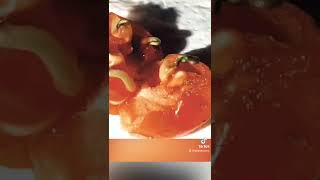 Alien, Tomato Version