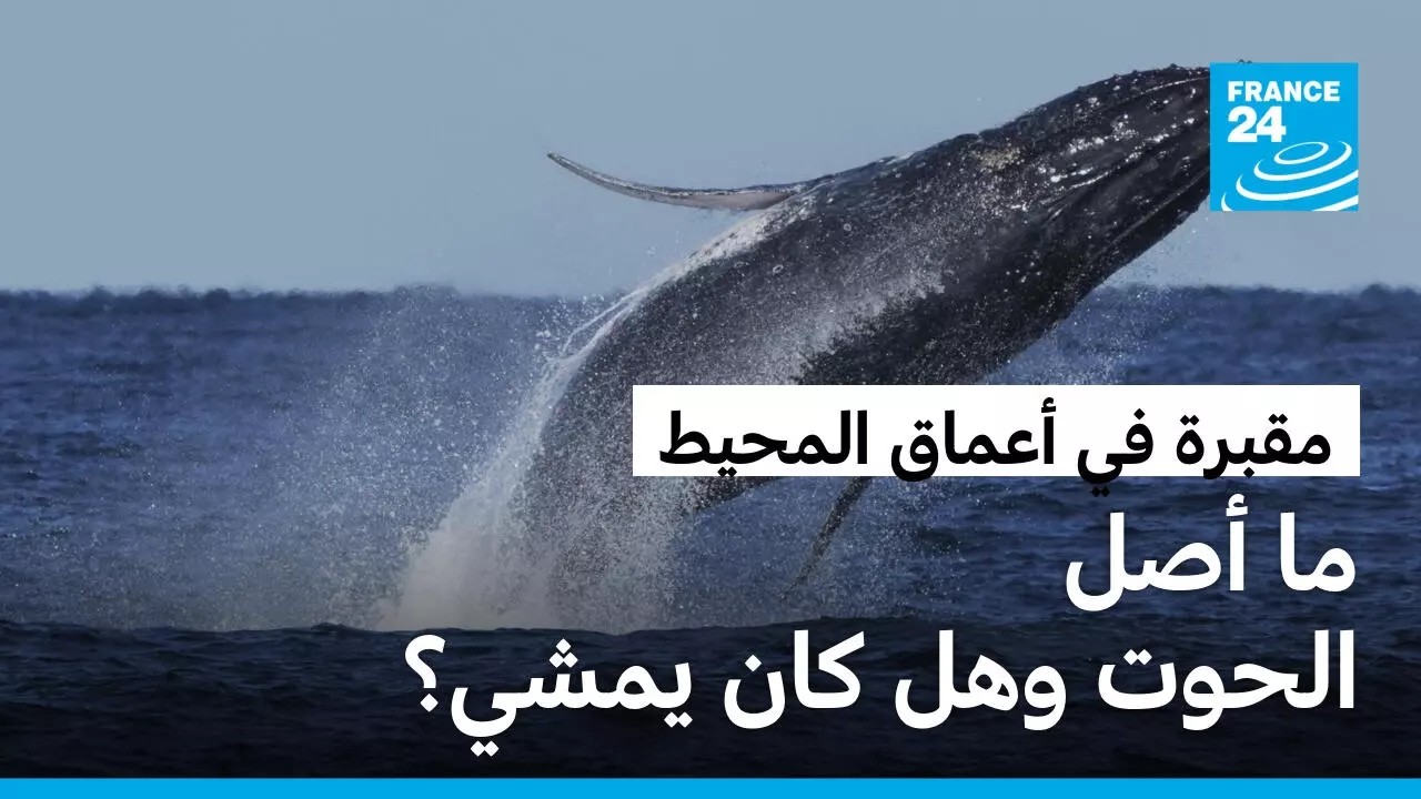 ��� ������ ���� ����� ������� �� ����� ������.. �� ��� �������� ������ɿ
 - نشر قبل 18 دقيقة