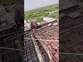 Electrician work 🦅🦅 #viral #trending