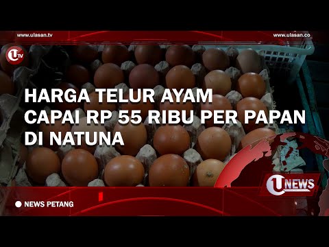 HARGA TELUR AYAM CAPAI RP 55 RIBU PER PAPAN DI NATUNA | U-NEWS