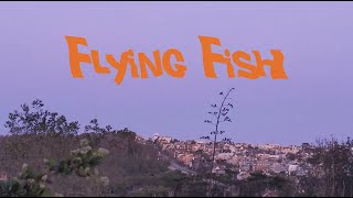 Flying Fish