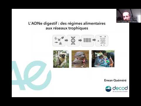 Conférence du CARRTEL - L'ADNe digestif : des régimes alimentaires aux réseaux trophiques