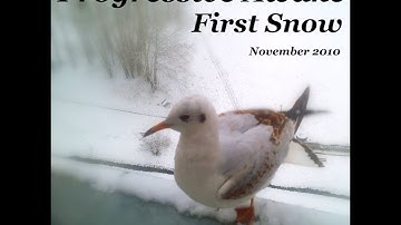 First Snow (November 2010)
