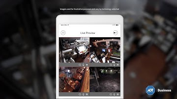 Video Surveillance & Camera Security Systems for Business Owners by ADT