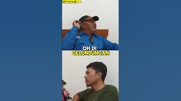 Program Transfer Embrio Gratis di Jember : Peluang Emas Untuk Peternak Lokal  #jember #jemberbangkit