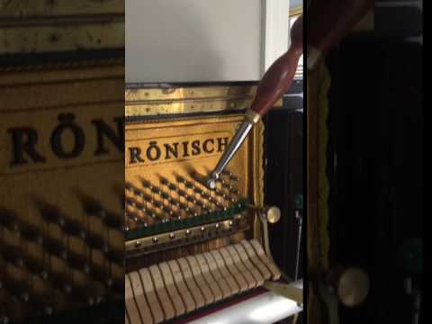 Amadeus Piano Tuning