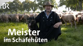 Schafe hüten: Bayerischer Meister im Leistungshüten | Heimat der Rekorde | Landwirtschaft | BR