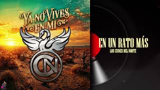 Los Cisnes Del Norte - En Un Rato Más (Audio Oficial)
