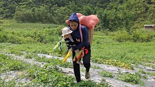 A tiring day harvesting watermelons to sell with the little angel of a single mother