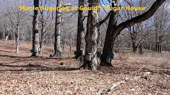 Maple Sugaring at Gould's Sugar House