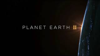 Planet Earth II Soft Suite screenshot 1