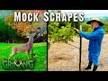 Easy, Step by Step Guide to Make Mock Scrapes (#570)